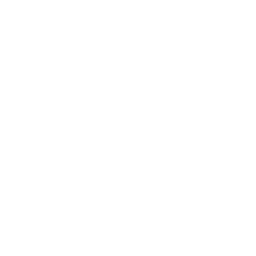play blot card game online